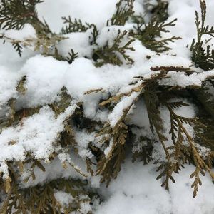 Meet your Posher, Sue